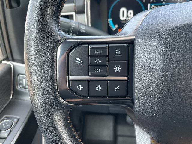 2022 Ford F-150 Platinum photo 22