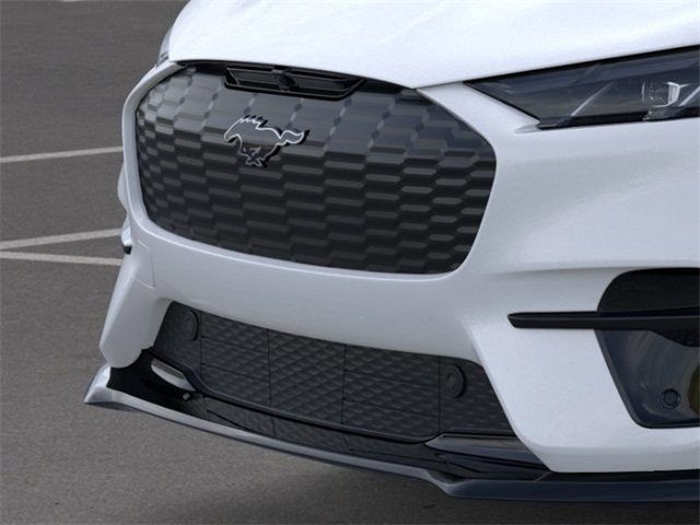 2025 Ford Mustang Mach-E GT photo 12