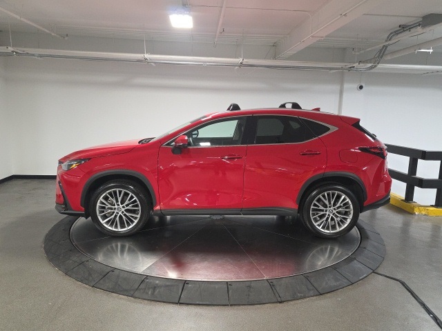 2023 Lexus NX 350 Luxury photo 4