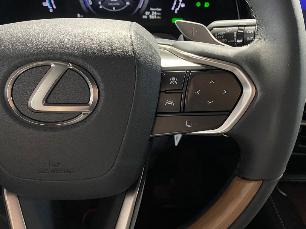 2025 Lexus RX 450h+ Luxury AWD photo 15