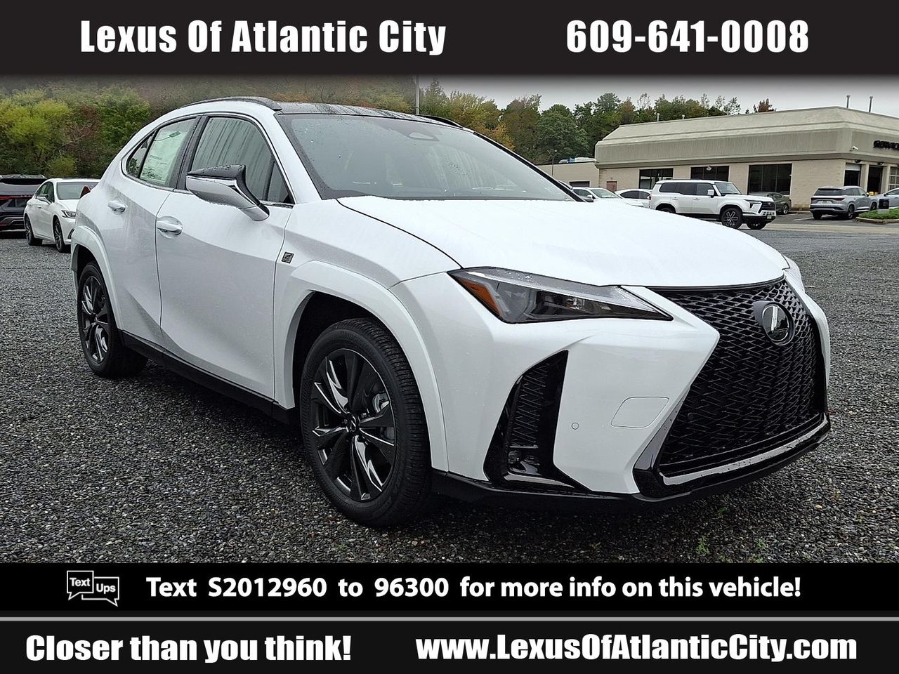 2025 Lexus UX Hybrid 300h F Sport Design