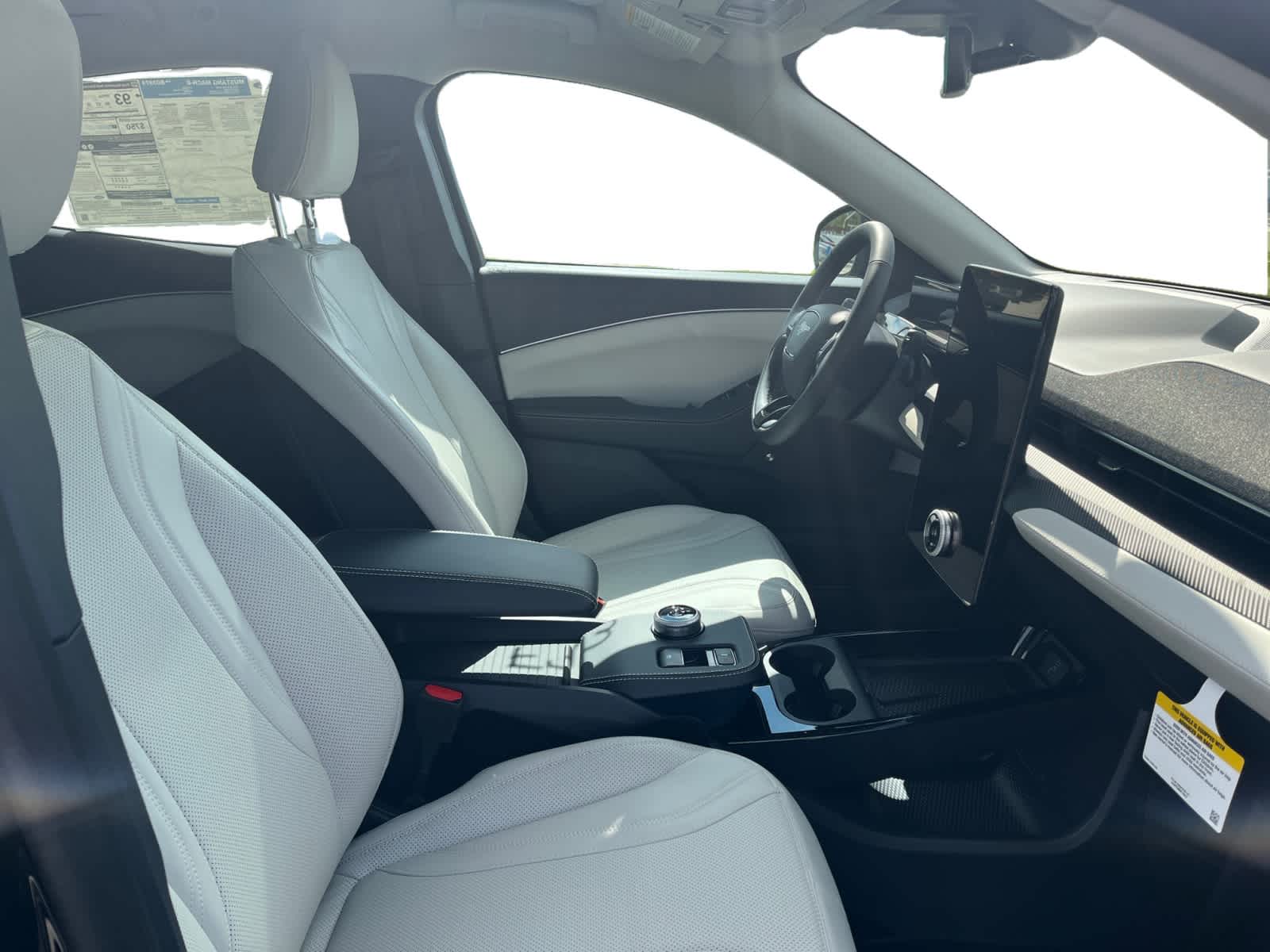 2023 Ford Mustang Mach-E Premium photo 10
