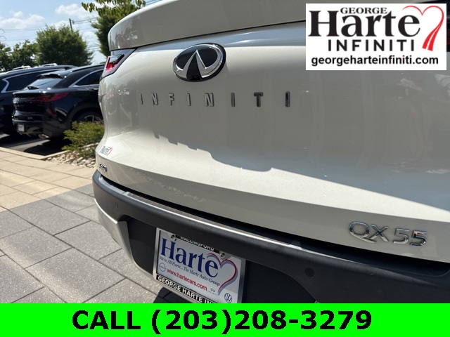 2022 Infiniti QX55 Luxe photo 28
