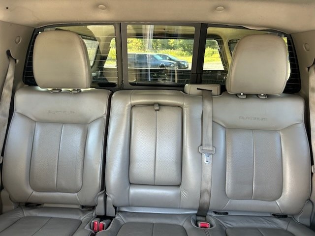 2010 Ford F-150 Platinum photo 6