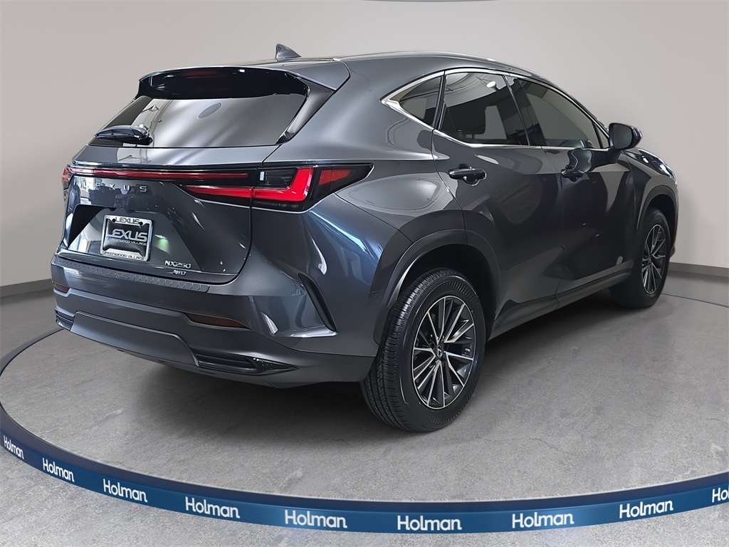 2022 Lexus NX 250 photo 5