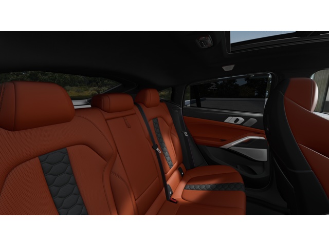 2026 Bmw X6 photo 11