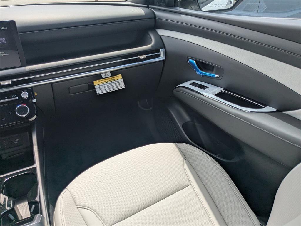 2025 Hyundai Santa Cruz SEL Activity photo 18