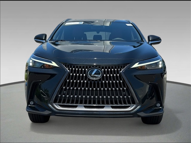 2024 Lexus NX 350h Premium photo 2