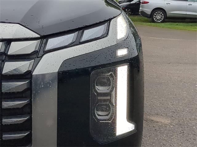 2024 Hyundai Palisade Calligraphy photo 10