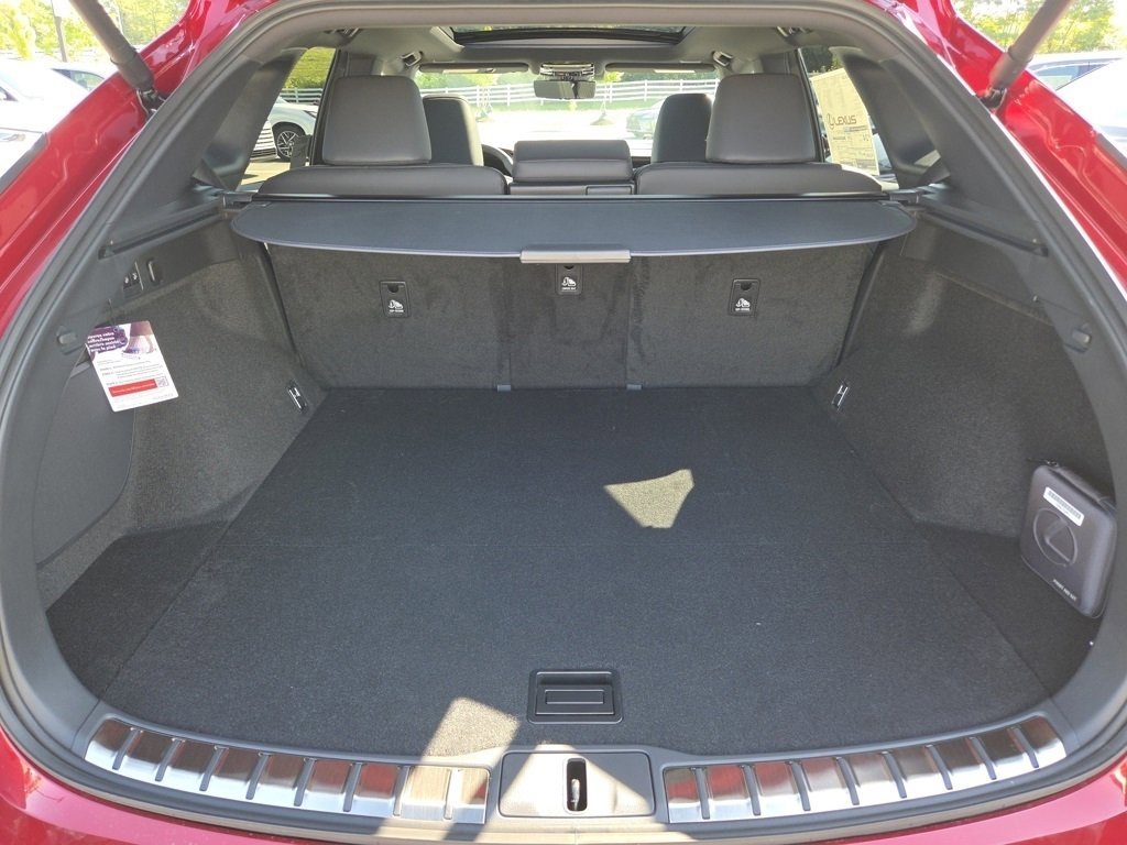 2025 Lexus RX 350 Premium photo 25