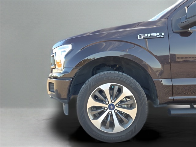2019 Ford F-150 XL photo 14