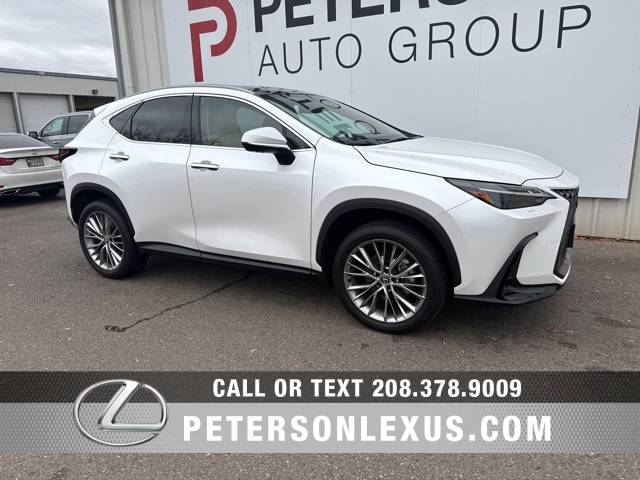 2024 Lexus NX 350's photo