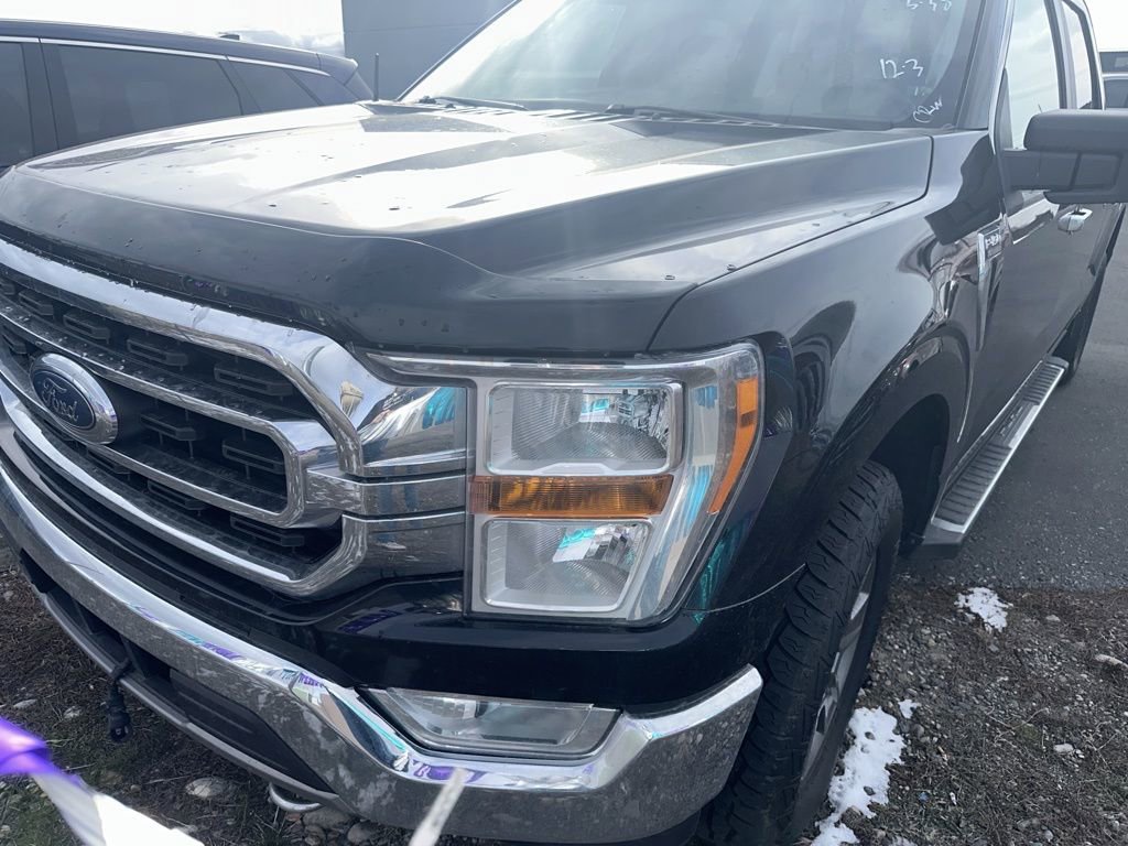 2021 Ford F-150 XLT's photo
