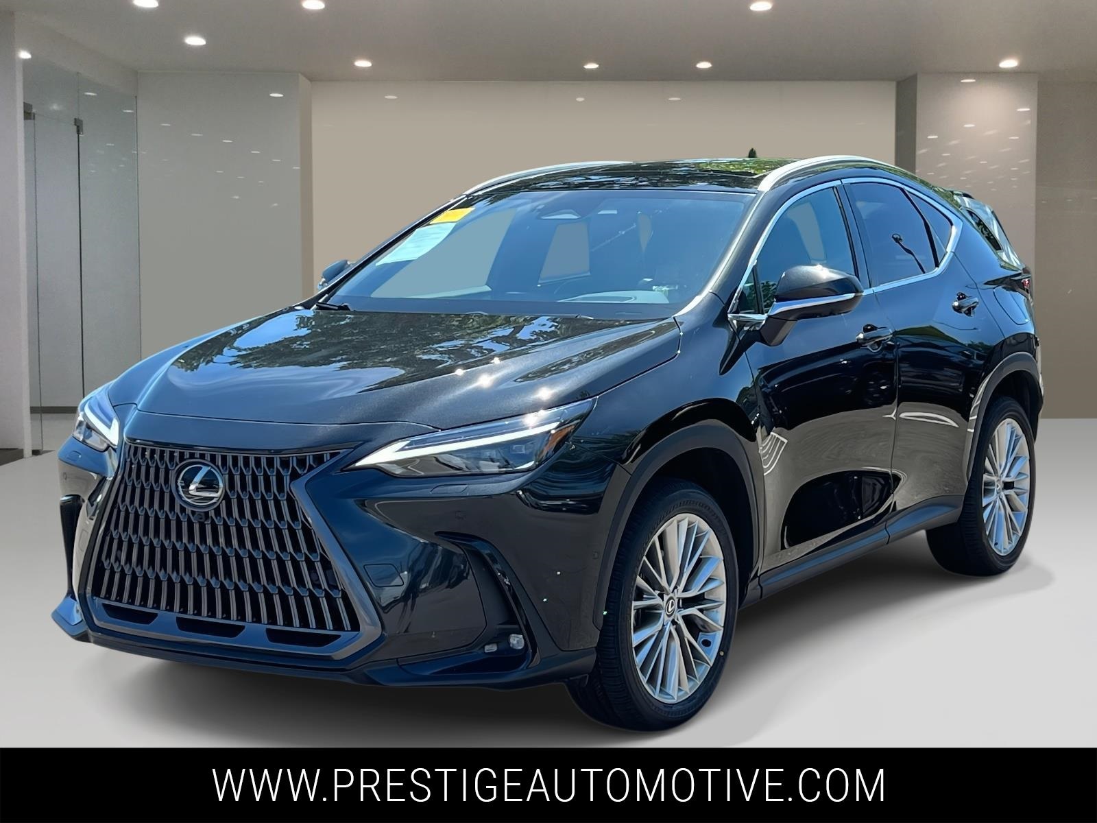 2024 Lexus NX 350h Luxury