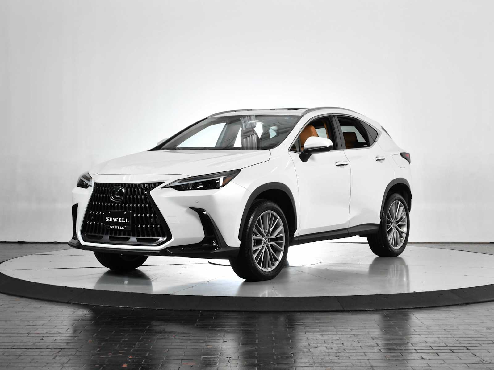 2025 Lexus NX Base's photo
