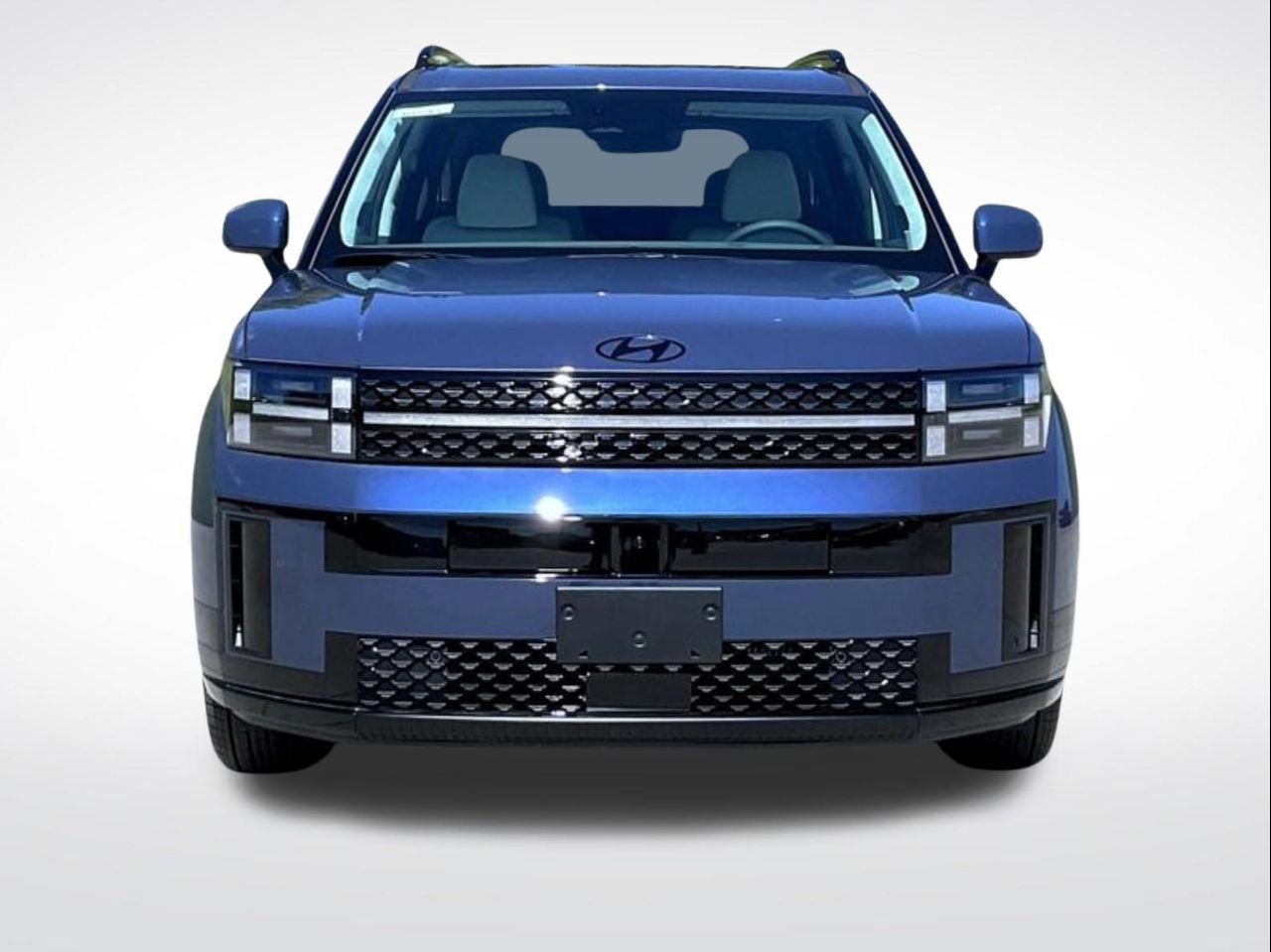 2025 Hyundai Santa Fe Calligraphy Sport photo 2