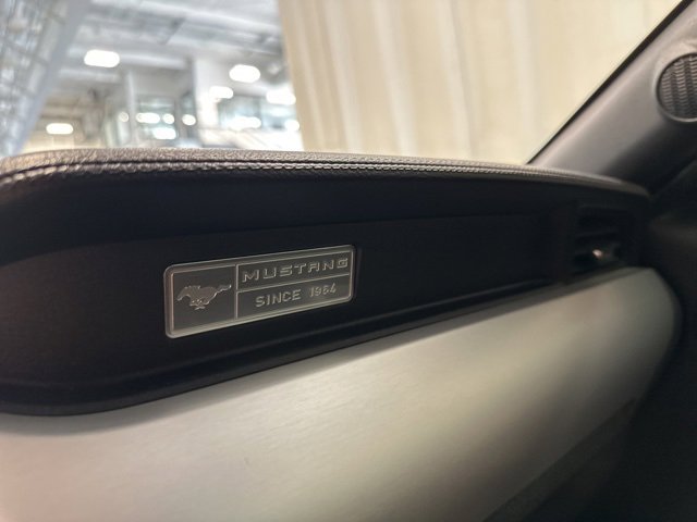 2015 Ford Mustang GT Premium photo 26