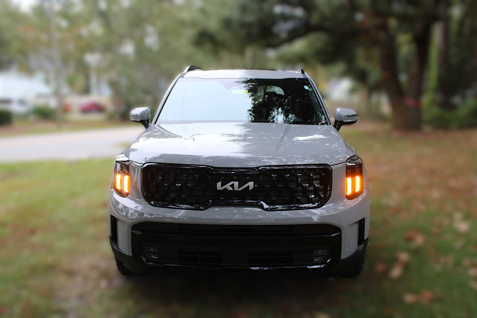 2025 Kia Telluride SX X-Line photo 14