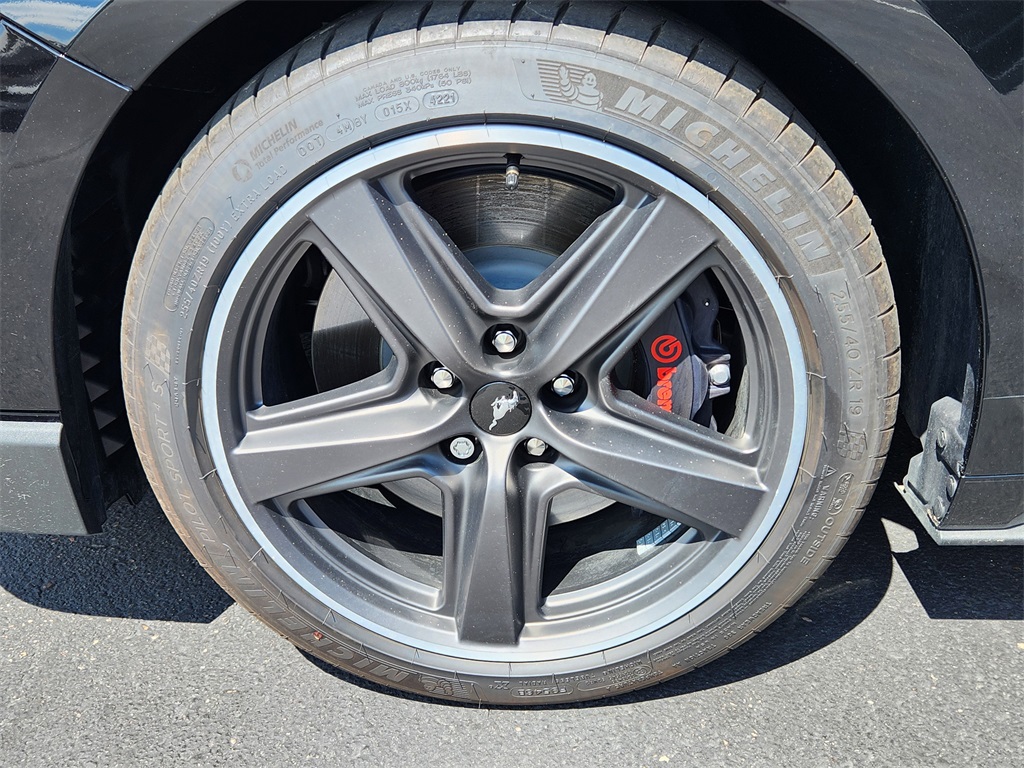 2021 Ford Mustang Mach 1 photo 19