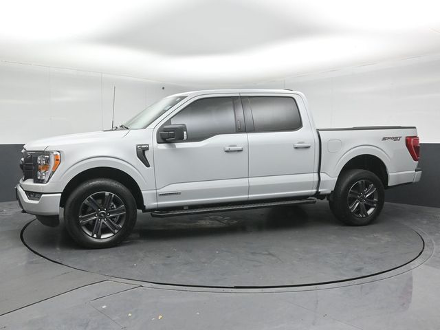 2023 FORD F-150 - Image 4