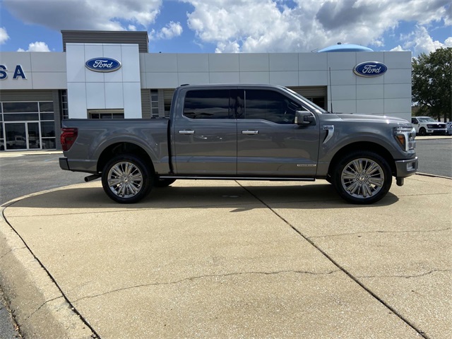 2024 Ford F-150 Platinum photo 2