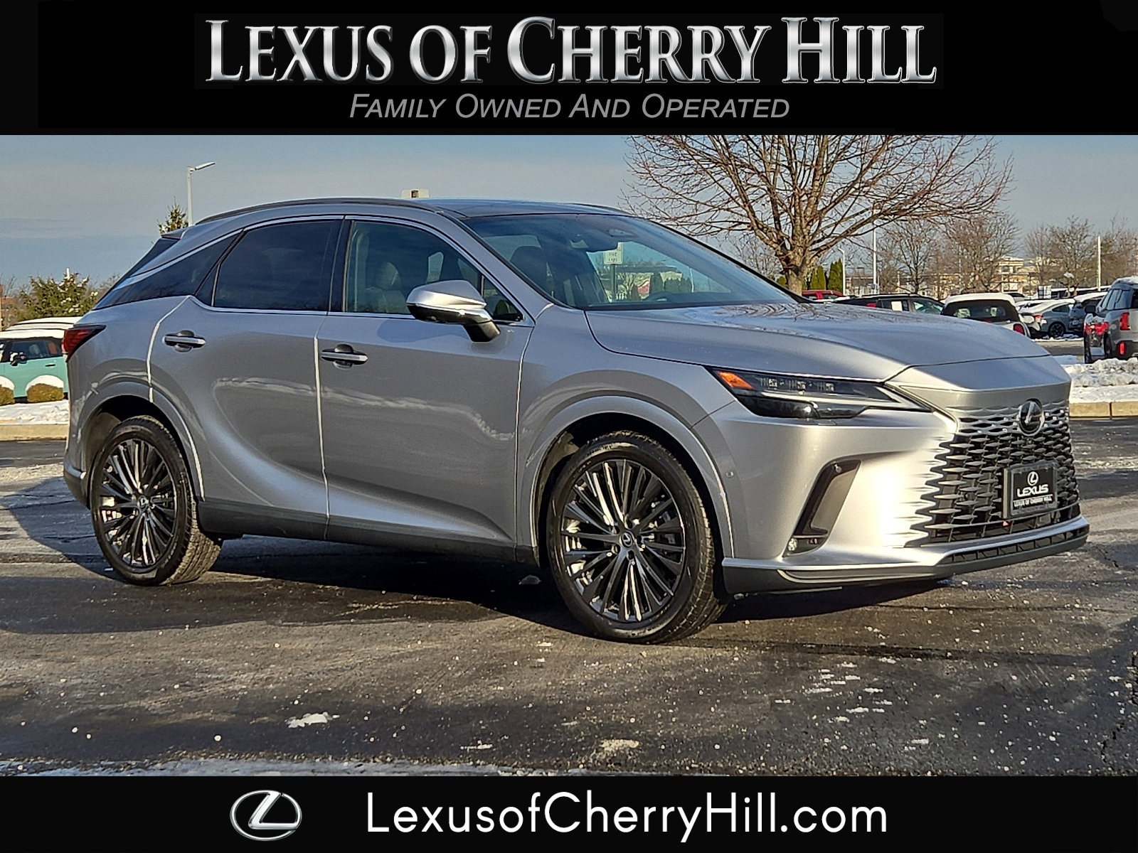 2023 Lexus RX 350's photo