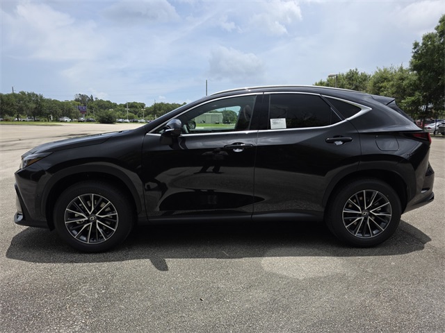 2025 Lexus NX 350h Luxury AWD photo 8