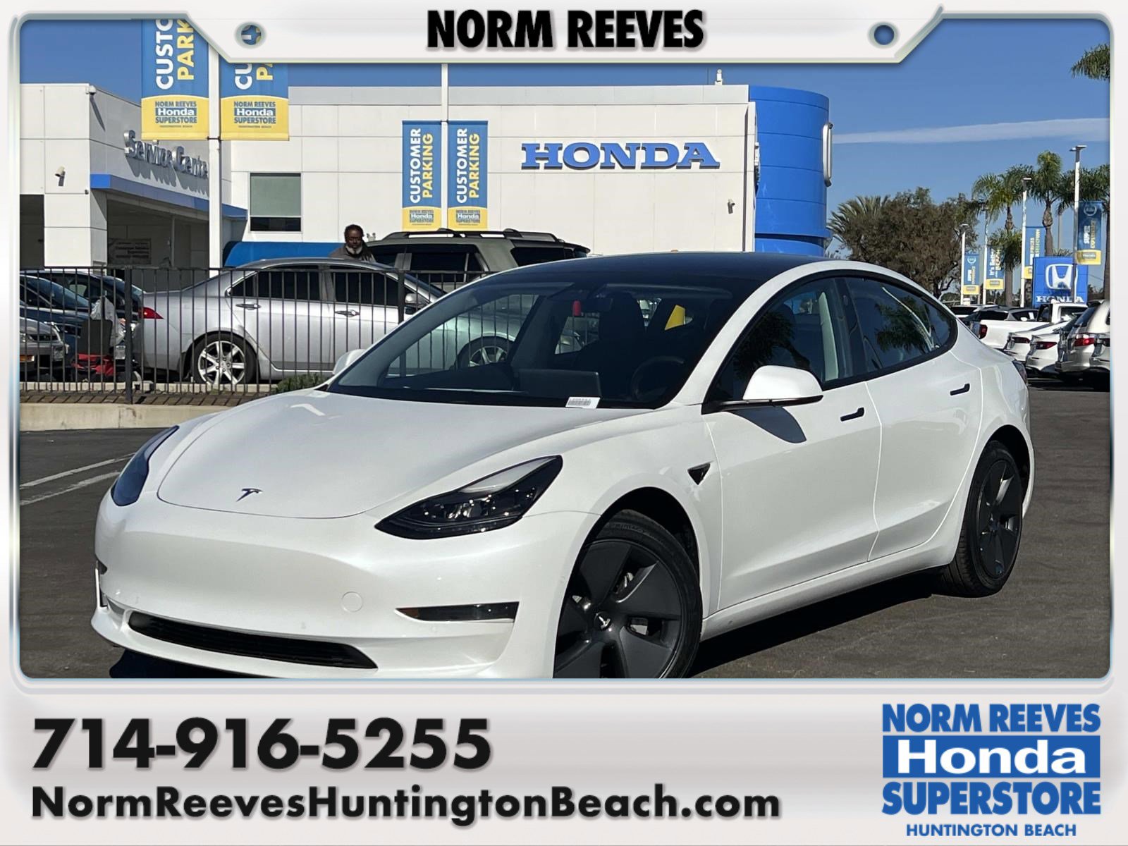 2021 Tesla Model 3 Base's photo