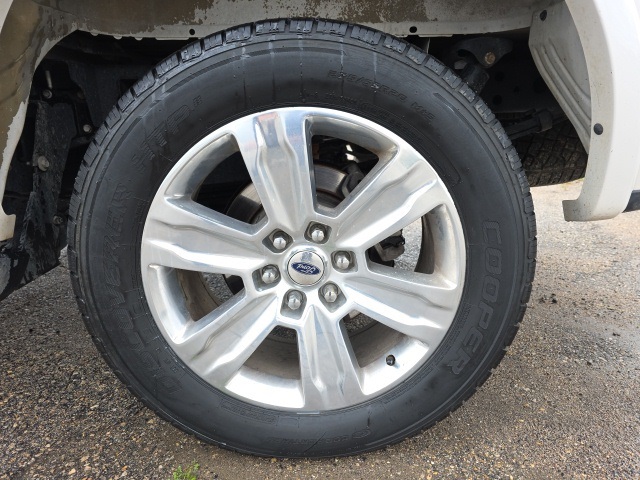 2016 Ford F-150 Platinum photo 11
