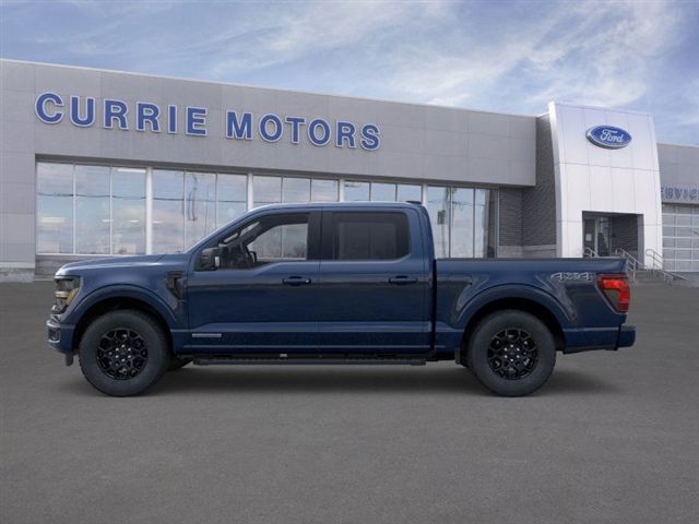 2025 Ford F-150 XLT photo 3