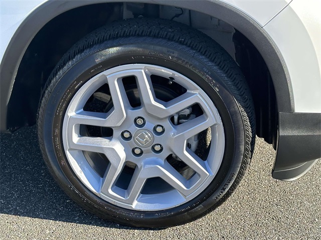 2025 Honda Passport EX-L photo 4