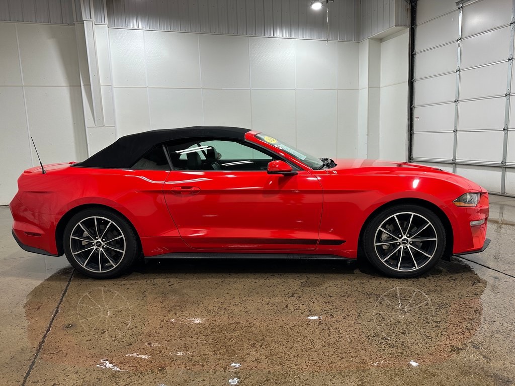 2020 Ford Mustang EcoBoost Premium photo 3