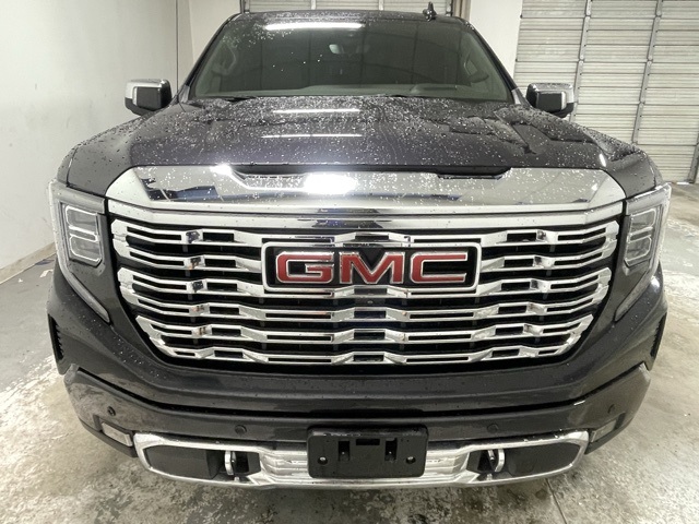 2023 Gmc Sierra 1500 Denali photo 6