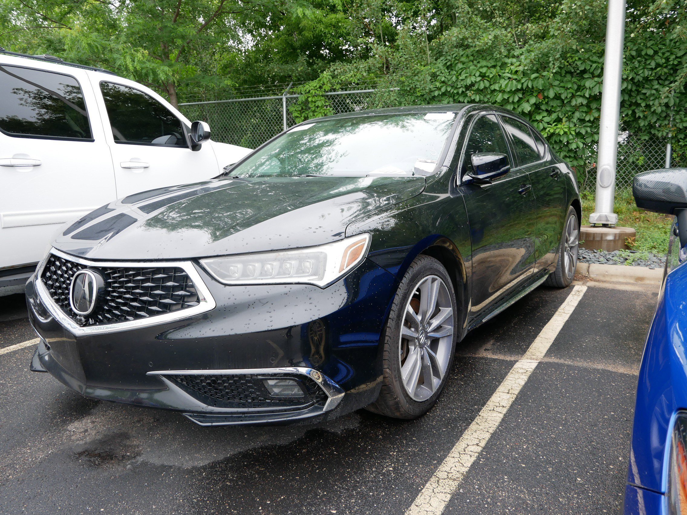 2019 Acura TLX Advance photo 3