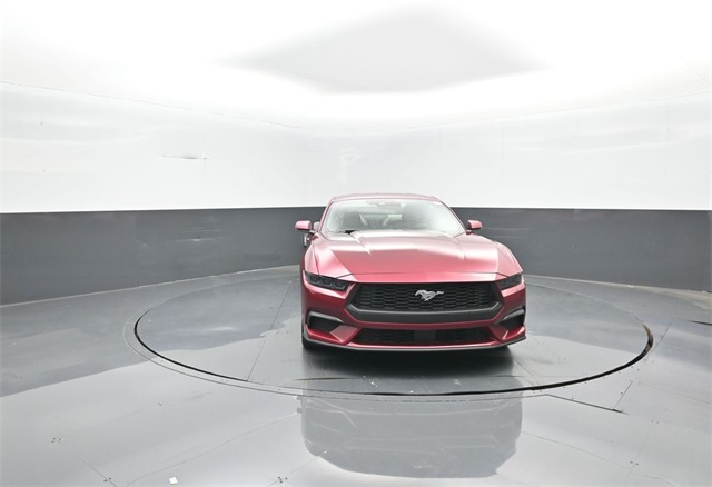 2025 Ford Mustang EcoBoost Premium photo 2