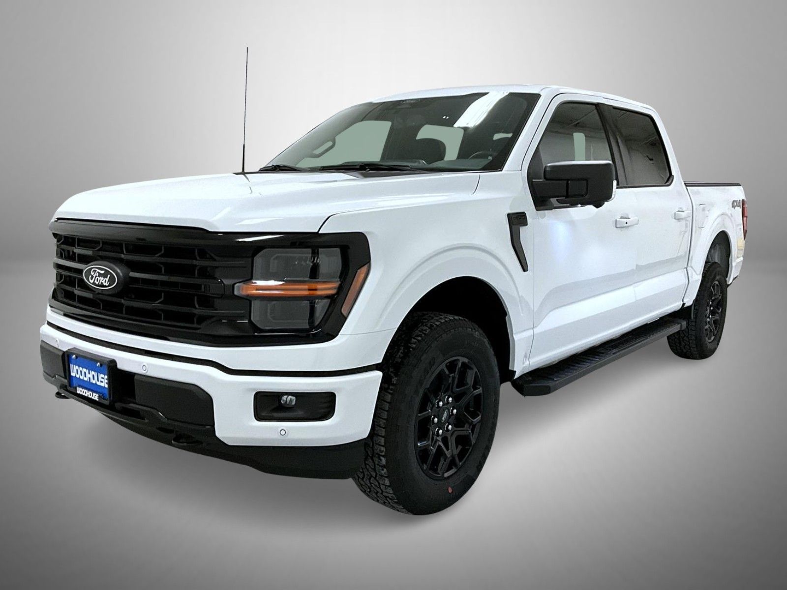 2025 Ford F-150 XLT's photo