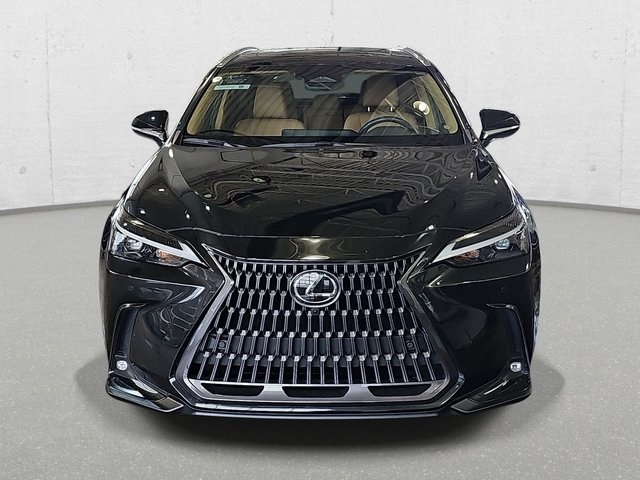 2024 Lexus NX 350 Premium photo 2