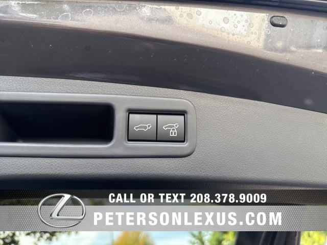 2025 Lexus RX 350 Premium photo 18
