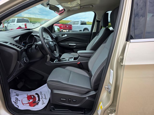 2018 Ford Escape SE photo 4