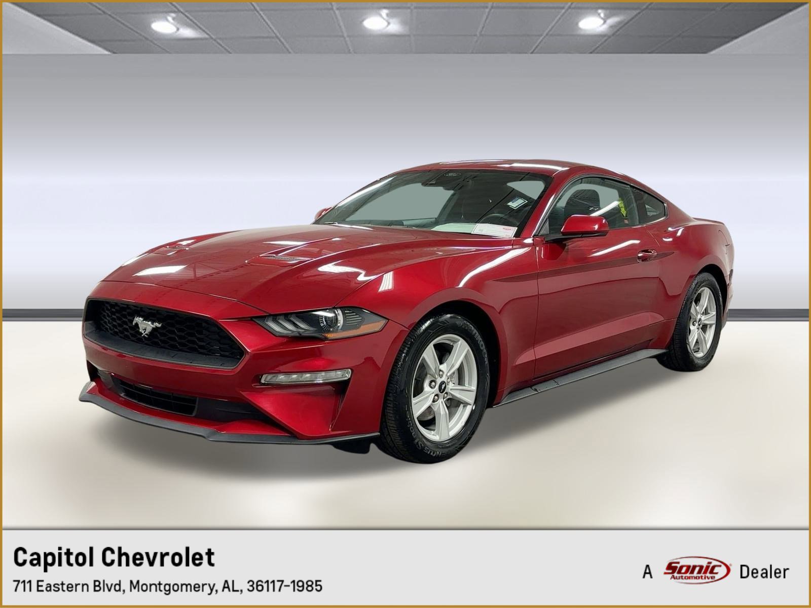 2023 Ford Mustang EcoBoost's photo