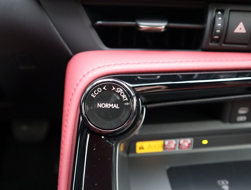 2025 Lexus NX 250 Premium photo 39