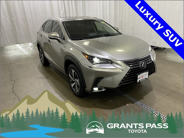 2018 Lexus NX 300h's photo