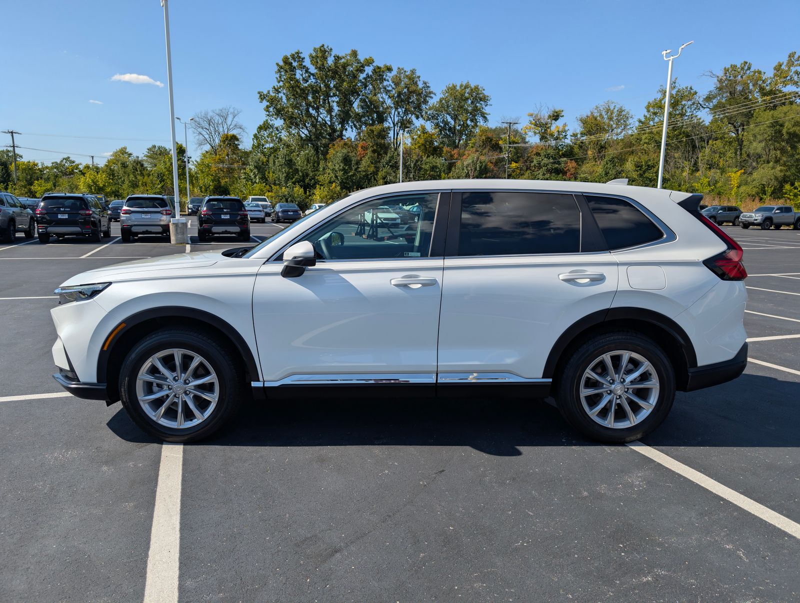 2023 Honda CR-V EX photo 3