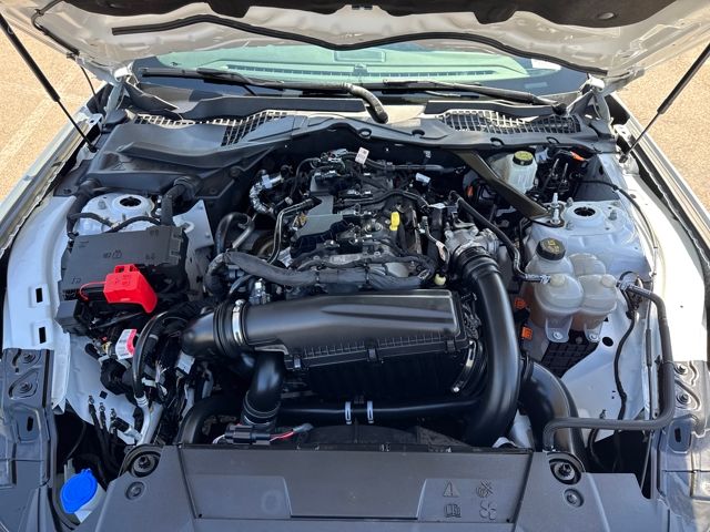 2024 Ford Mustang EcoBoost Premium photo 21