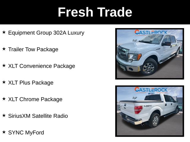 Used 2013 Ford F-150 XLT with VIN 1FTFW1ET9DFB81605 for sale in Castle Rock, CO