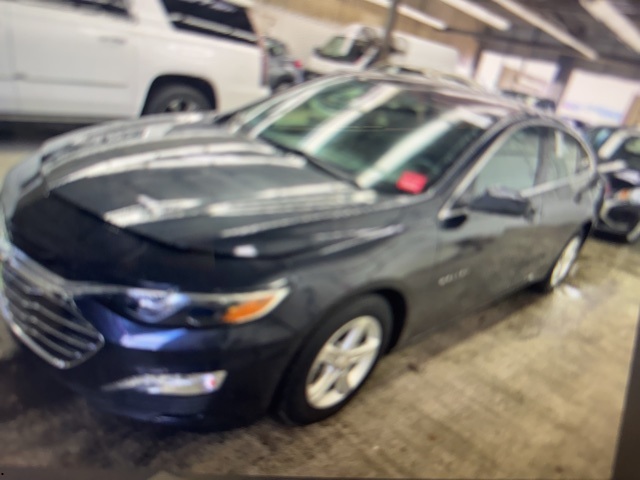 2023 Chevrolet Malibu 1LT's photo