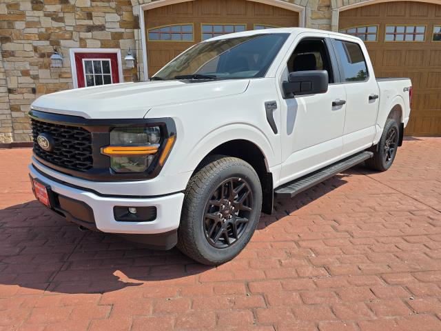 2025 Ford F-150 STX photo 6