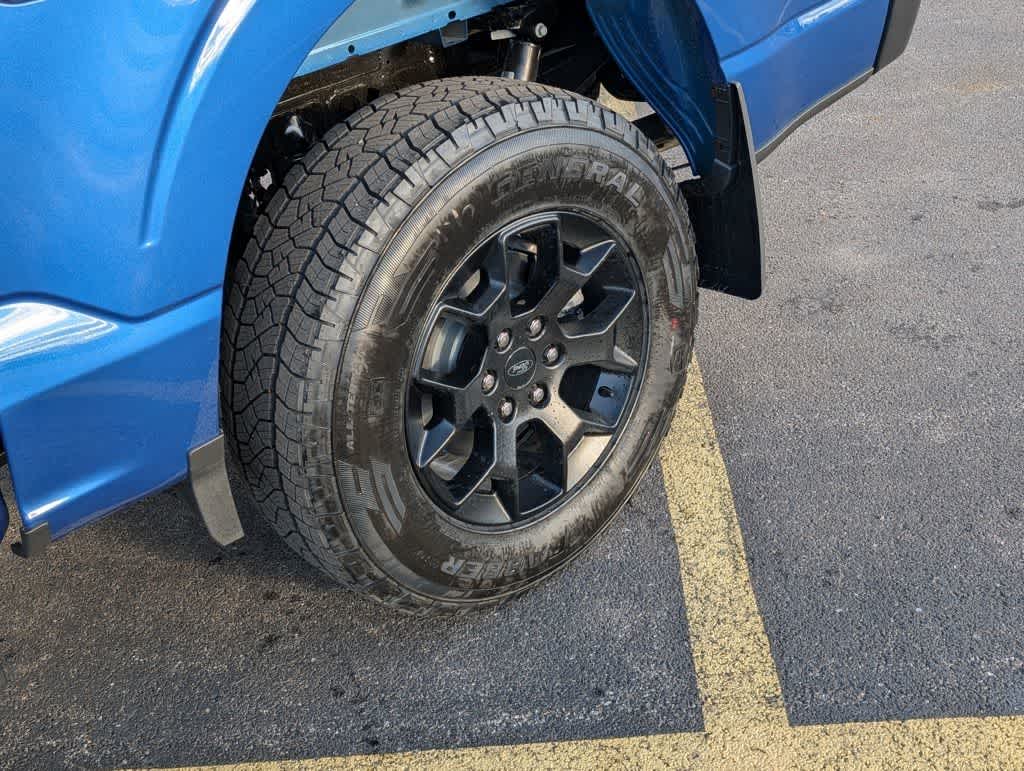 2024 Ford F-150 STX photo 6