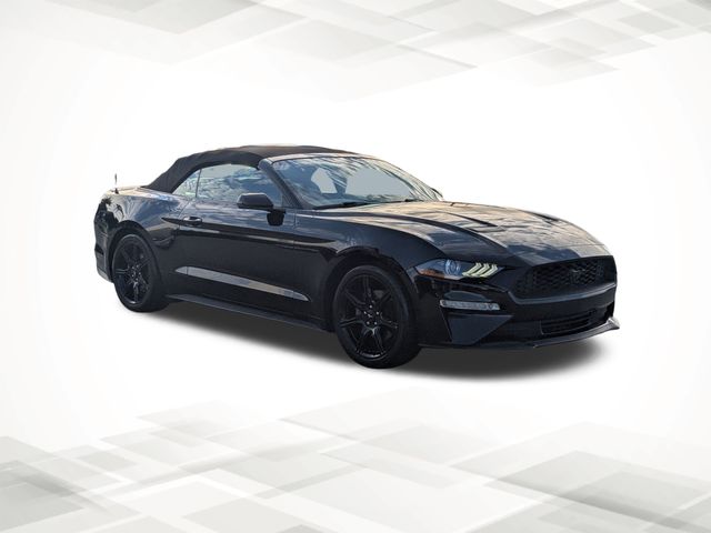 2019 Ford Mustang EcoBoost Premium photo 2