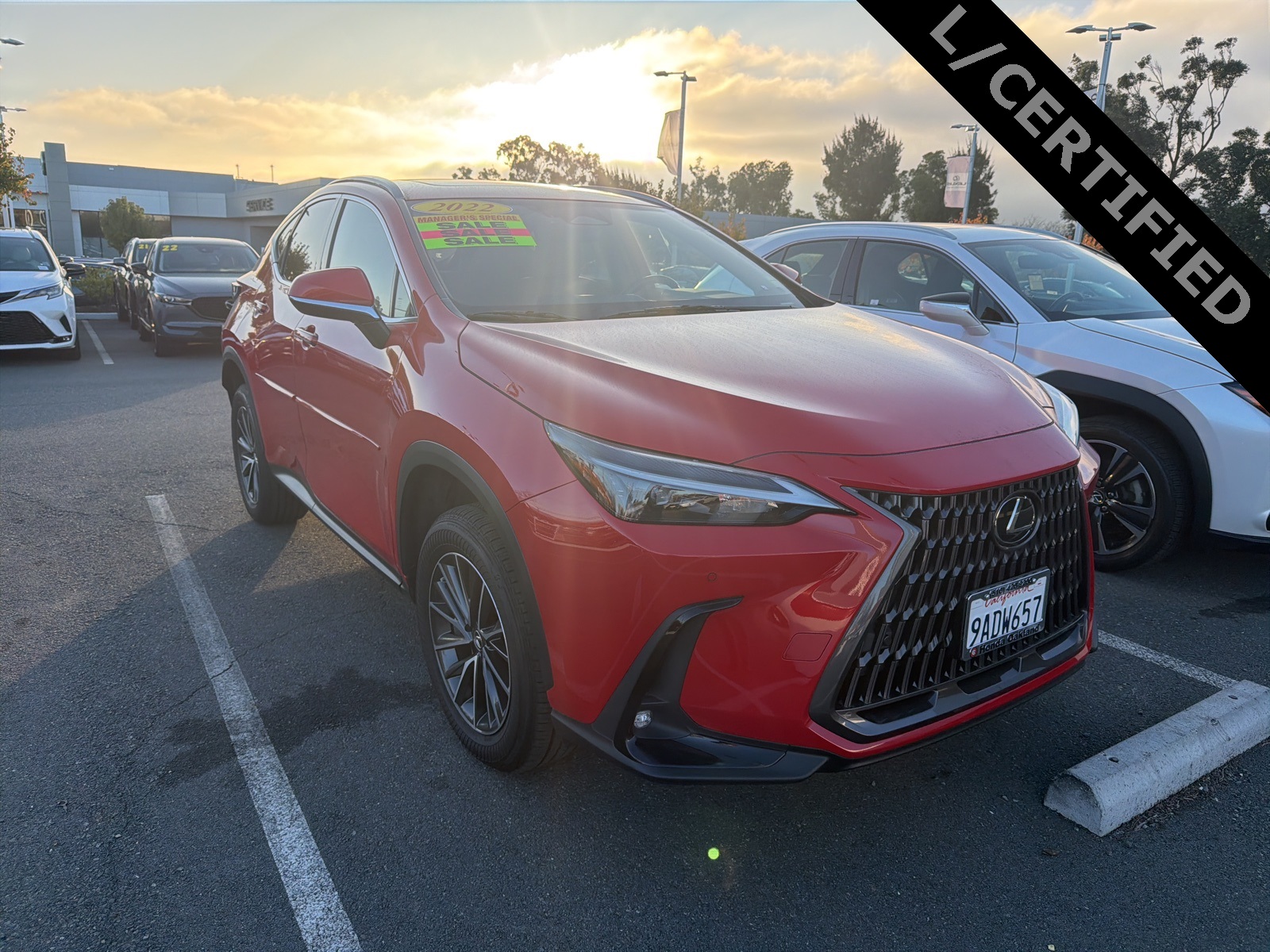 2022 Lexus NX Hybrid 350h's photo